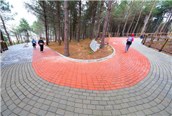 Sapanca’da Bahar Koşusu heyecanı: 700 sporcu Huzur Koridoru’nda buluştu