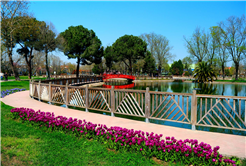 Sakarya’da baharın büyüleyici cümbüşü