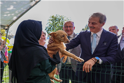 Sokak Hayvanları Doğal Yaşam Kampüsü için ihaleye çıkılıyor