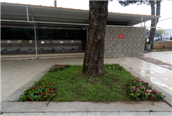 Büyükşehir’in dokunuşuyla camiler bayram öncesi çiçek açıyor