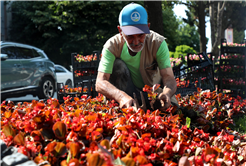 Sakarya’nın yeni yeşil ve yaşam alanları her geçen gün artıyor