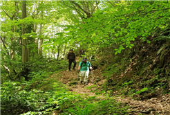 Doğanın kalbinde stresten izole bir gün: Zorlu parkur Doğançay Şelalesi’ne çıktı