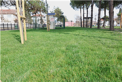 Büyükşehir’den Söğütlü’ye yeni yaşam alanı: Ritim Park gün sayıyor…