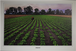 Sakarya’nın kültürünü yansıtan kareler OSM’de sanatseverle buluştu