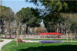 Sakarya’da baharın büyüleyici cümbüşü