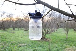 Evi görünce terk etmeyi düşündü: Binlerce kokarcanın istila kabusunu TUTSAK bitirdi