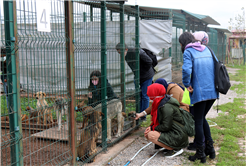 2024’te can dostların derdine deva hastalığına şifa oldular: Kedi, köpek, tavşan, sincap…