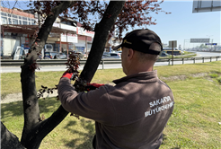Büyükşehir Sakarya’yı yaza hazırlıyor