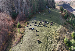 Sonbaharın büyüleyici renkleri arasında 14 kilometrelik unutulmaz rota