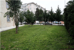 Büyükşehir’in dokunuşuyla camiler bayram öncesi çiçek açıyor