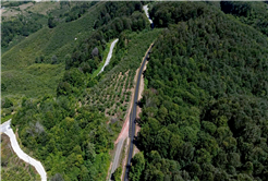 Kocaali’de asfaltın ardından yollar çizgilerle güvenli hale geldi