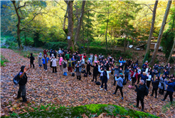 Kuzeyin tabiat harikaları arasında unutulmaz bir sonbahar yürüyüşü