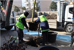 Sakarya’nın yeni yeşil ve yaşam alanları her geçen gün artıyor
