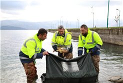 10 kiloluk sazanlar doğal güzelliği koruyacak