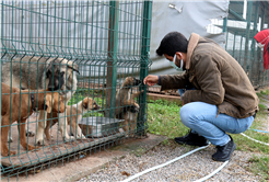 2024’te can dostların derdine deva hastalığına şifa oldular: Kedi, köpek, tavşan, sincap…