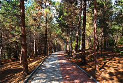 Şehirde bir ilk: Sakaryalılar baharı ‘Huzur Koridoru’nda koşarak karşılayacak