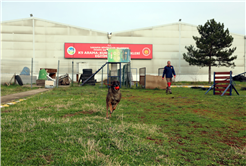 Reina, Ateş, Google ve Qill en zor anda ‘umut’ olmak için hep hazır kıta