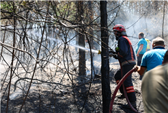Sakarya’nın ateş savaşçıları yüzlerce cana nefes oldu