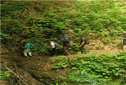 Doğanın kalbinde stresten izole bir gün: Zorlu parkur Doğançay Şelalesi’ne çıktı