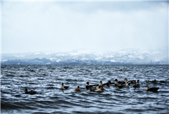 Sapanca Gölü’nün su seviyesi endişe edilecek düzeyde değil