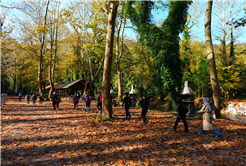 Yaylalardan longoz ormanlarına: Sakarya’da doğayla iç içe sonbahar