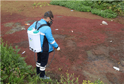 Ekip sahaya indi, şehrin her ‘karışında’ mücadele başladı