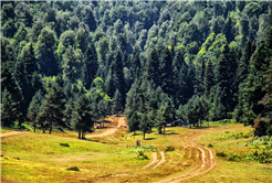 Sakarya’da doğa tutkunlarının beklediği takvim geldi: Baharı muhteşem manzarayla karşılayacaklar…