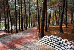 Sapanca Gölü kıyısında ‘huzur veren’ doğa projesi kapılarını açtı