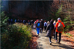 Sonbaharın büyüleyici renkleri arasında 14 kilometrelik unutulmaz rota