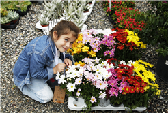 Sakarya 8’inci kez Avrupa’nın en büyük açık hava fuarında buluşacak