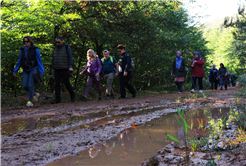 Doğa tutkunları sonbaharın her tonunu keşfetti