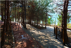 Sapanca Gölü kıyısında ‘huzur veren’ doğa projesi kapılarını açtı