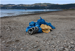 Sapanca Gölü çevresinden 2 ton çöp toplandı
