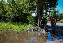 Sapanca Gölü ve etrafı Büyükşehir Belediyesi ekiplerine emanet