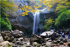 Sakarya’da doğa tutkunlarının beklediği takvim geldi: Baharı muhteşem manzarayla karşılayacaklar…