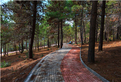 Sapanca Gölü kıyısında ‘huzur veren’ doğa projesi kapılarını açtı