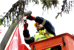 Büyükşehir’den doğaya duyarlı çalışma; Atatürk Bulvarı’na LED aydınlatma