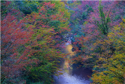Kuzeyin tabiat harikaları arasında unutulmaz bir sonbahar yürüyüşü