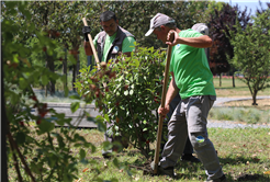 Sakarya’nın her köşesi Büyükşehirle güzelleşiyor