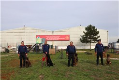 Reina, Ateş, Google ve Qill en zor anda ‘umut’ olmak için hep hazır kıta