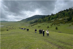 Doğa tutkunları Karagöl’ün cennet doğasını adım adım keşfetti 