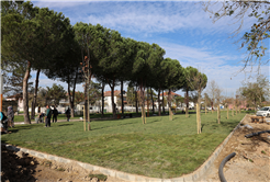  “Söğütlü Ritim Park’ta çalışmalar yüzde 80 seviyelerine ulaştı”