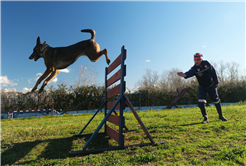 Reina, Ateş, Google ve Qill en zor anda ‘umut’ olmak için hep hazır kıta