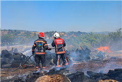 Sakarya’nın ateş savaşçıları yüzlerce cana nefes oldu