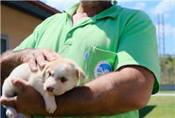 2024’te can dostların derdine deva hastalığına şifa oldular: Kedi, köpek, tavşan, sincap…