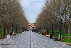 Sakarya’da baharın büyüleyici cümbüşü