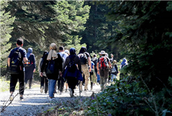İnönü ve Ercova yaylaları tüm güzelliğiyle doğaseverleri ağırladı