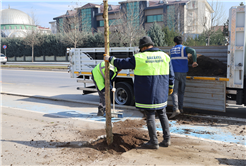 Büyükşehir ‘yeşil’ dokunuşla şehrin çehresini değiştiriyor