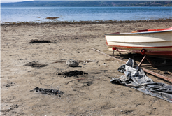 Göl havzasında bulunan kıyılar için SASKİ uyarıda bulundu