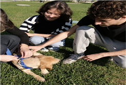 Sakarya’da sevgiyle büyüyen bir başarı hikâyesi…